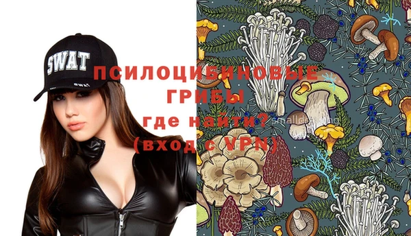 ешки Верея