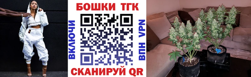 Каннабис Amnesia  Кинешма 